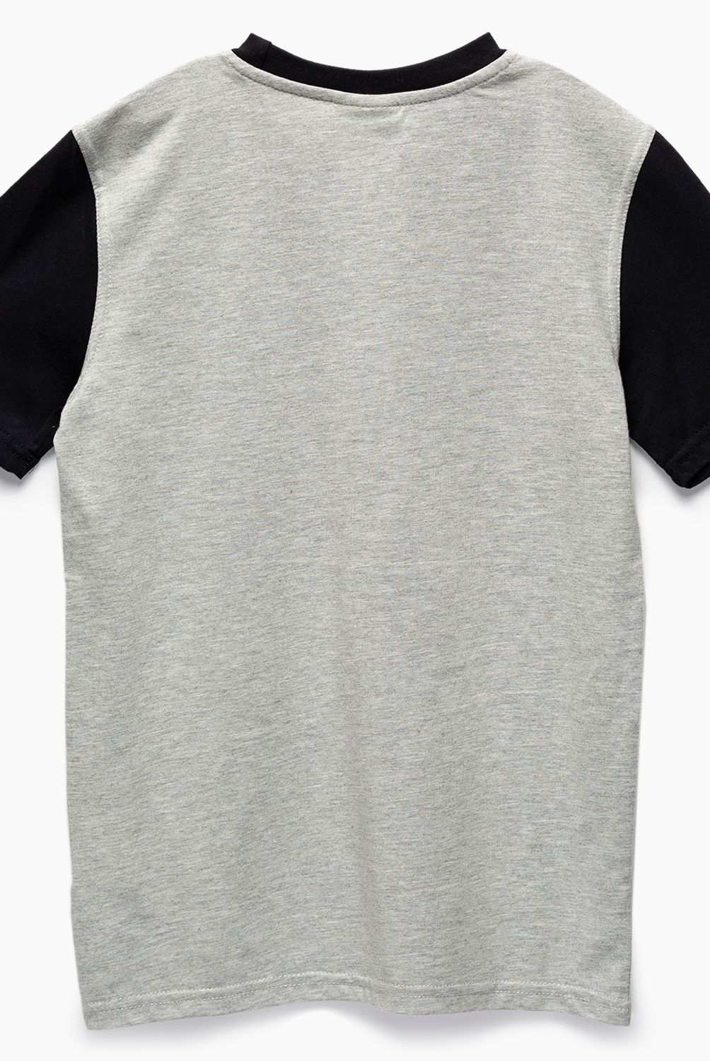 COLEGIO ALICANTE ARAUCO MAIPU - Polera Deporte Cuello Redondo Unisex Colegio Alicante Arauco Maipu