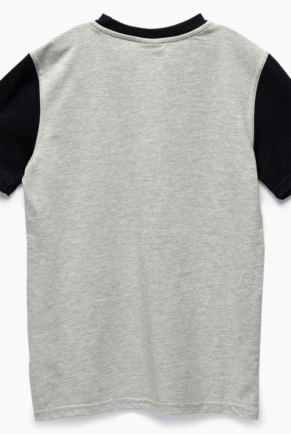 COLEGIO ALICANTE ARAUCO MAIPU - Polera Deporte Cuello Redondo Unisex Colegio Alicante Arauco Maipu