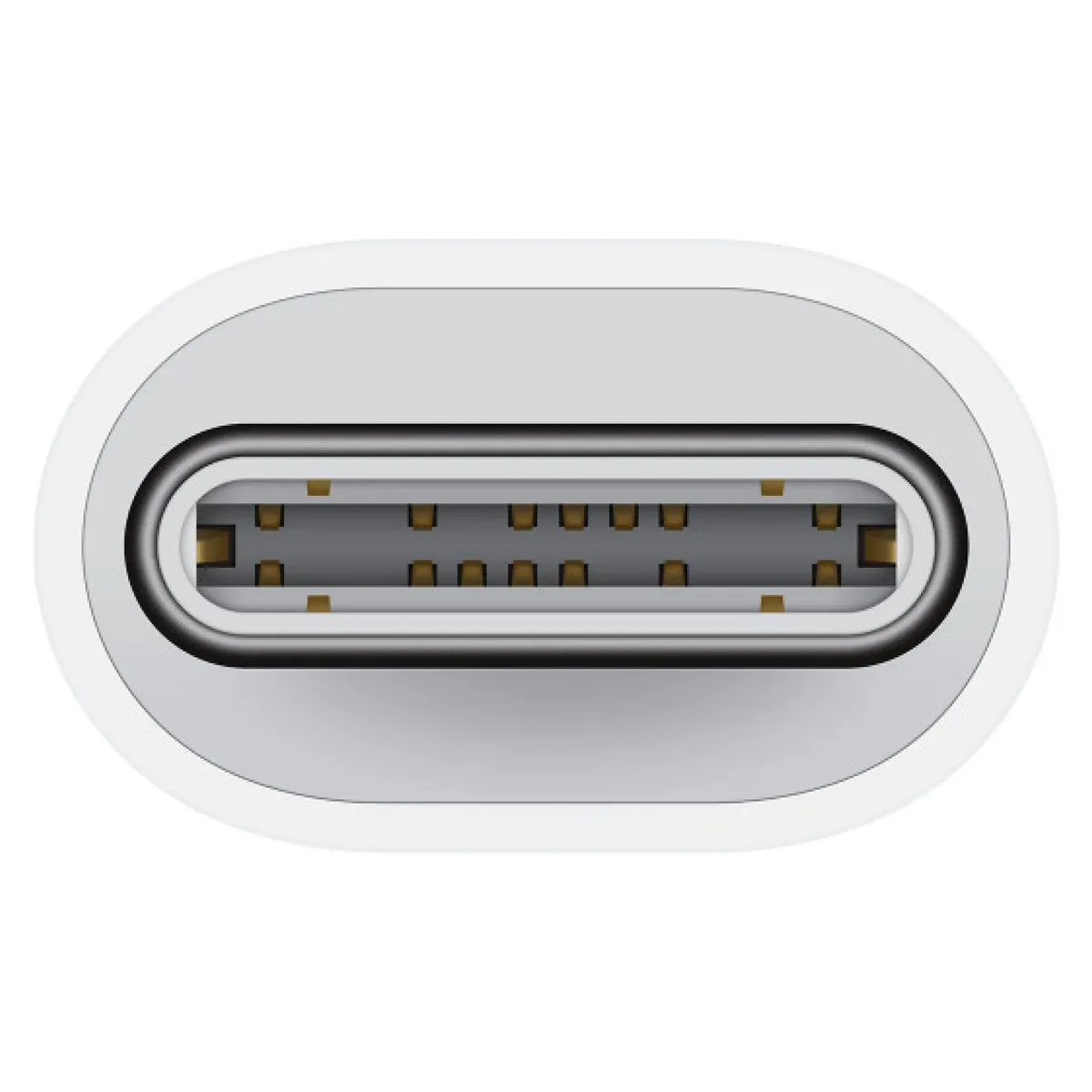 APPLE - Usb-C To Lightning Adapter Apple