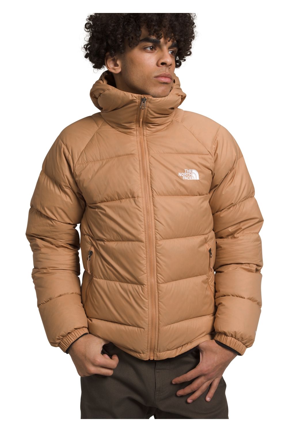 THE NORTH FACE - Parka Hombre The North Face