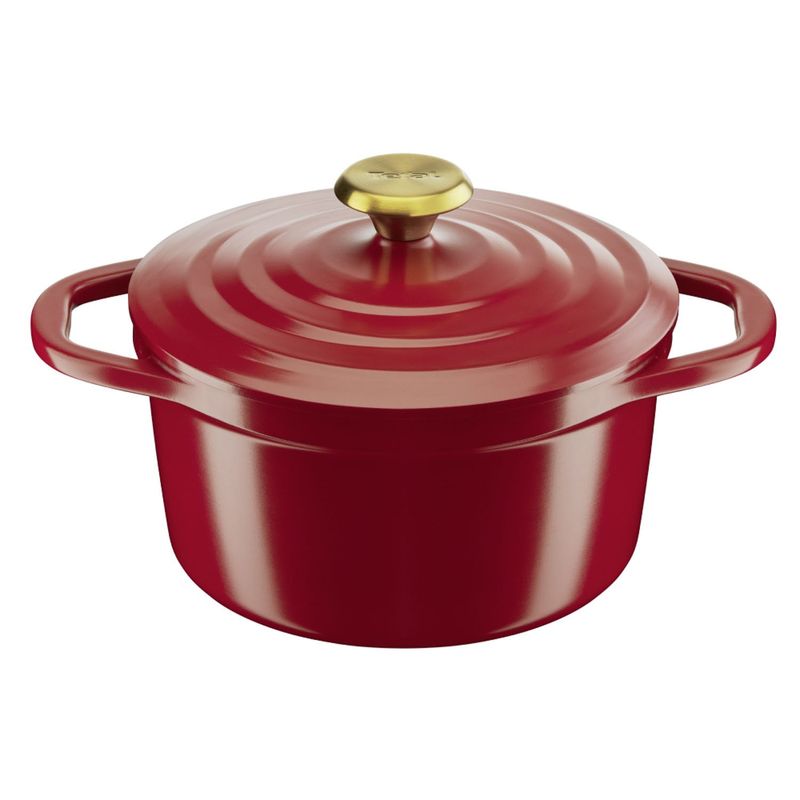 TEFAL - Olla Cocotte Air 24 Cm Tefal