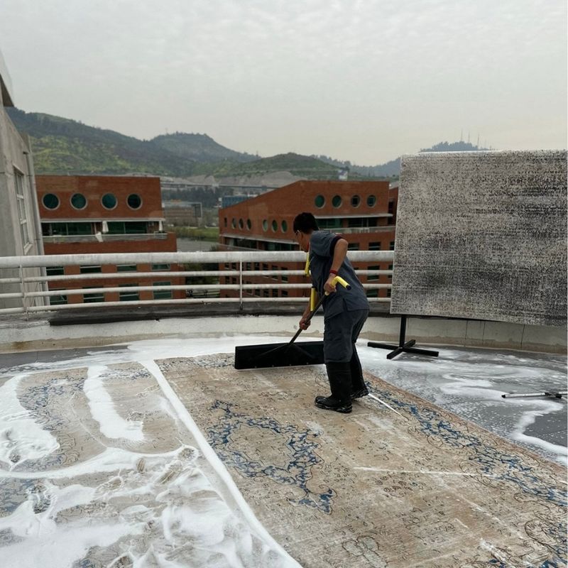 NO MARCA - Limpieza De Alfombra Grande