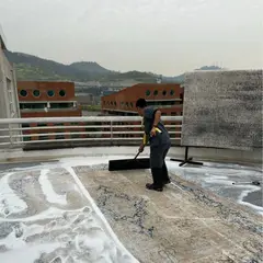 NO MARCA - Limpieza De Alfombra Grande