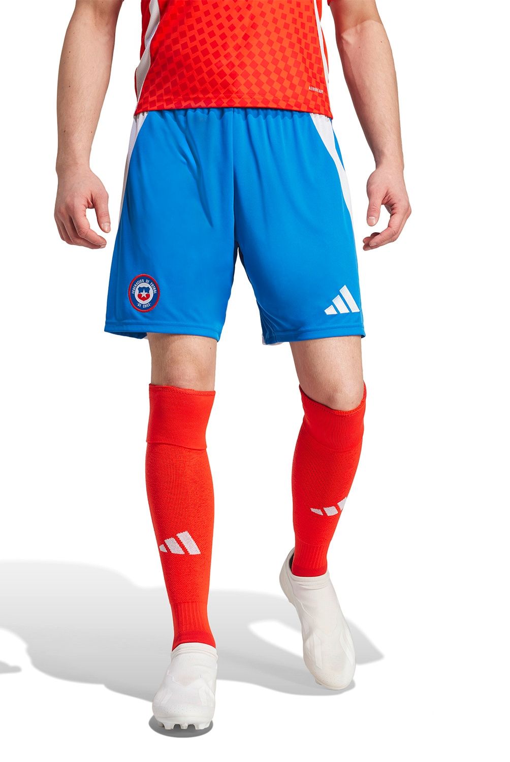 ADIDAS - Short Selección Chilena Hombre Adidas
