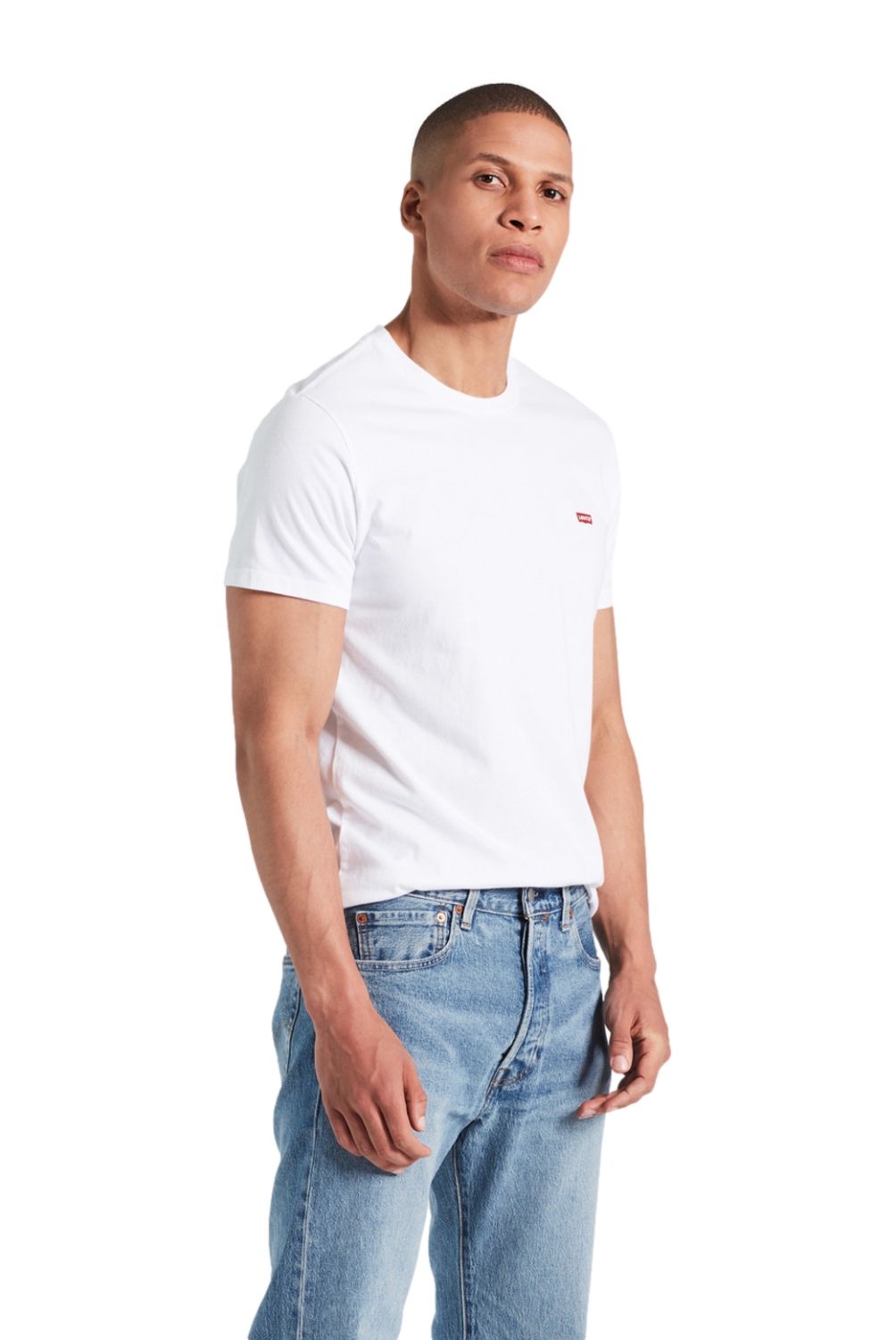 LEVIS - Polera Manga Corta Regular Fit Hombre Levis