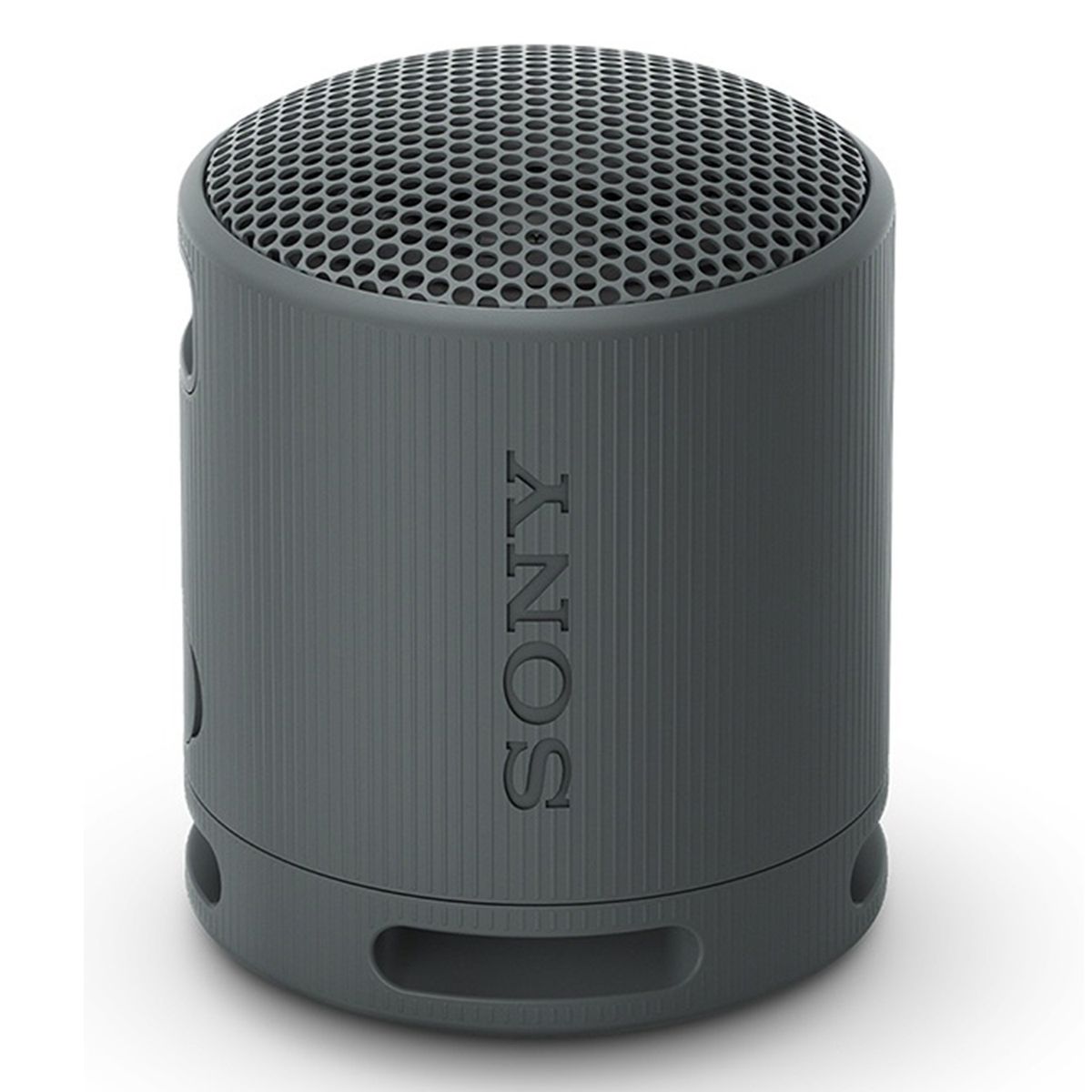 SONY - Parlante Portatil Bluetooth Srs-Xb100 Sony