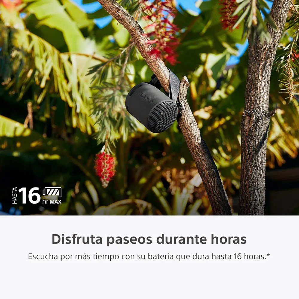 Sony SRS-XB100 Negro, foto 4
