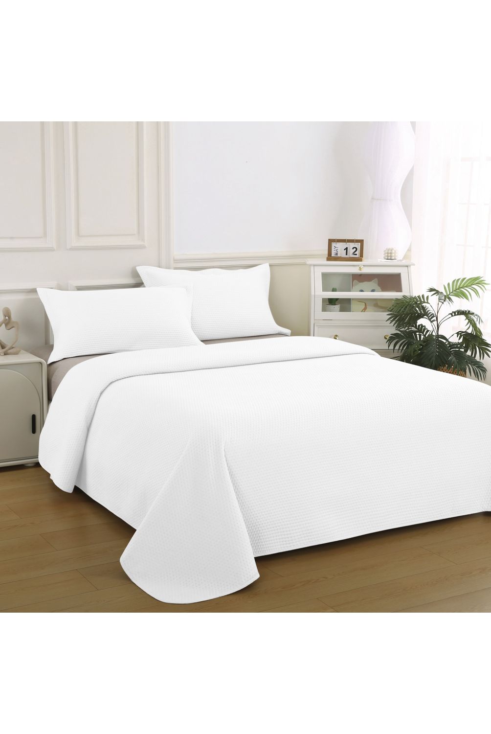 w=1004,h=1500,fit=pad