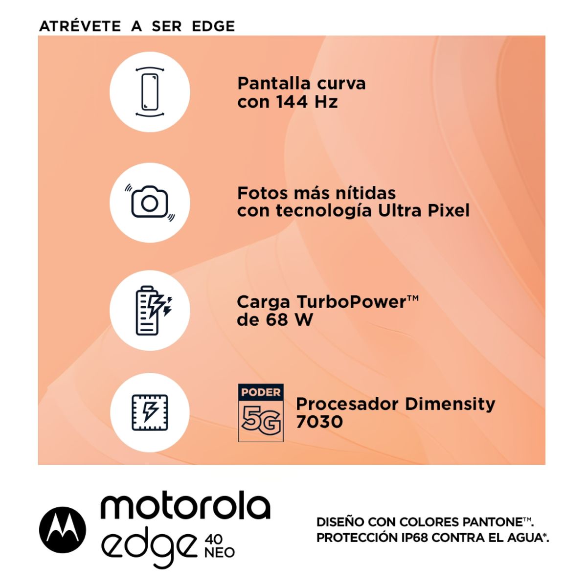 MOTOROLA - Celular Motorola Edge 40 Neo 256GB