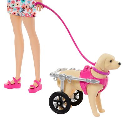 Imagen 2 del producto Paseo Perrito Con Silla De Ruedas