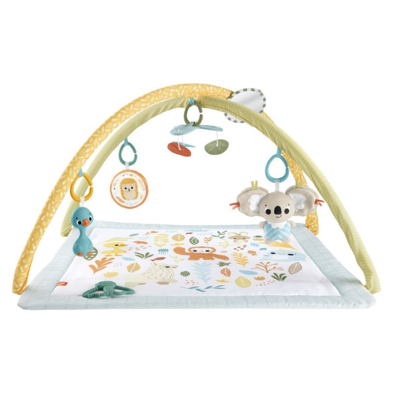 FISHER - Price Baby Primeros Sentidos Fisher