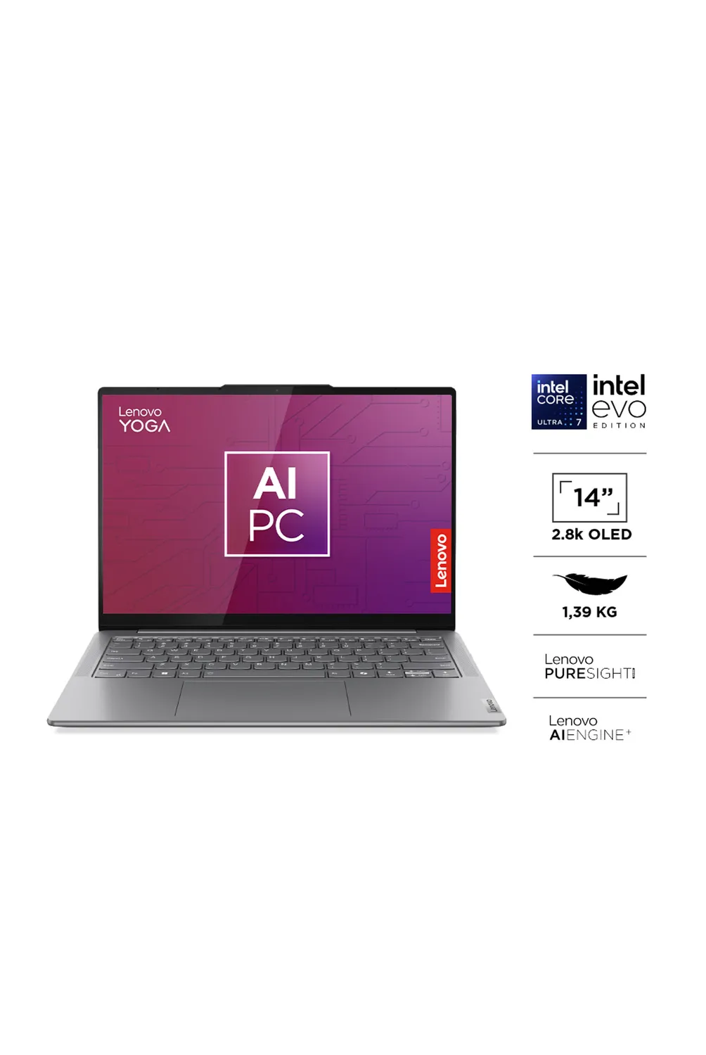 w=1004,h=1500,fit=pad