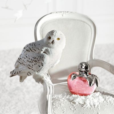 Imagen 2 del producto Perfume Mujer Nina EDT 50ml