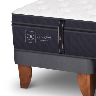 Imagen 2 del producto Cama Europea G Premium Super King + Respaldo
