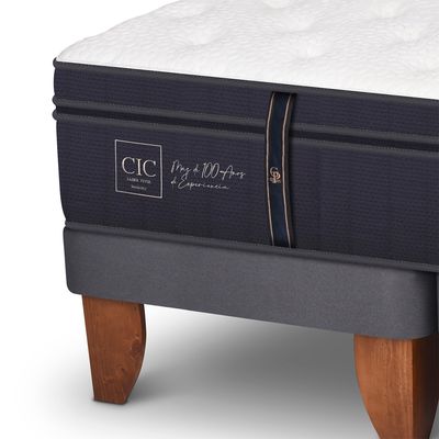 Imagen 2 del producto Cama Europea G Premium 2 Plazas + Respaldo