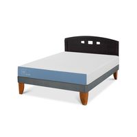 Cama Europea Excellence Plus 2 Plazas + Respaldo