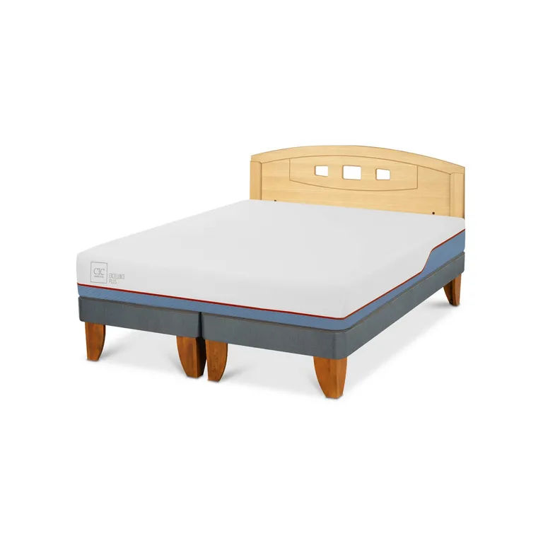 Cama Europea Excellence Plus 2 plazas x 2.00 mt Base Dividida + Respaldo