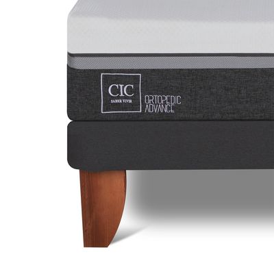 Imagen 2 del producto Camas Europeas Ortope Ad 1.5 Plazas + Respaldo