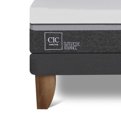 Imagen 2 del producto Camas Europeas Ortope Ad 1.5 Plazas + Respaldo