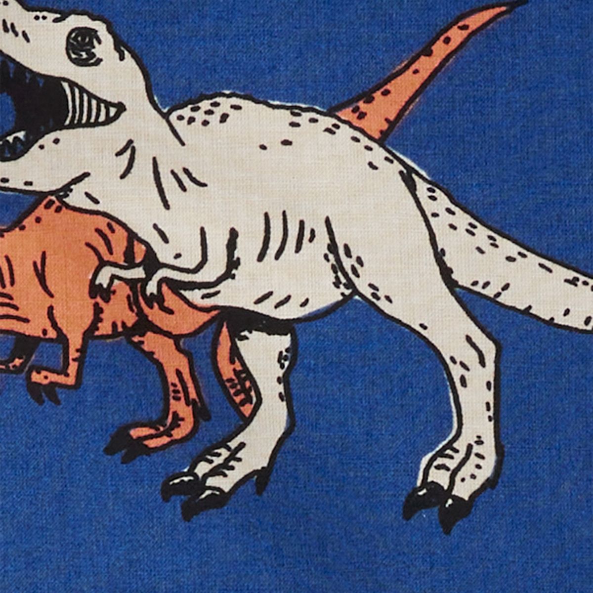 CARTER'S - Conjunto Camisa y Short Dinosaurios Bebé Niño Carter's