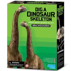 4M - Dinosaurio Brachiosaurus Excava