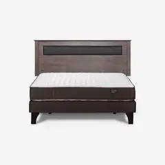 ROSEN - Cama Europea New Ergo T 2 Plazas x 2.00 mt Base Normal + Respaldo
