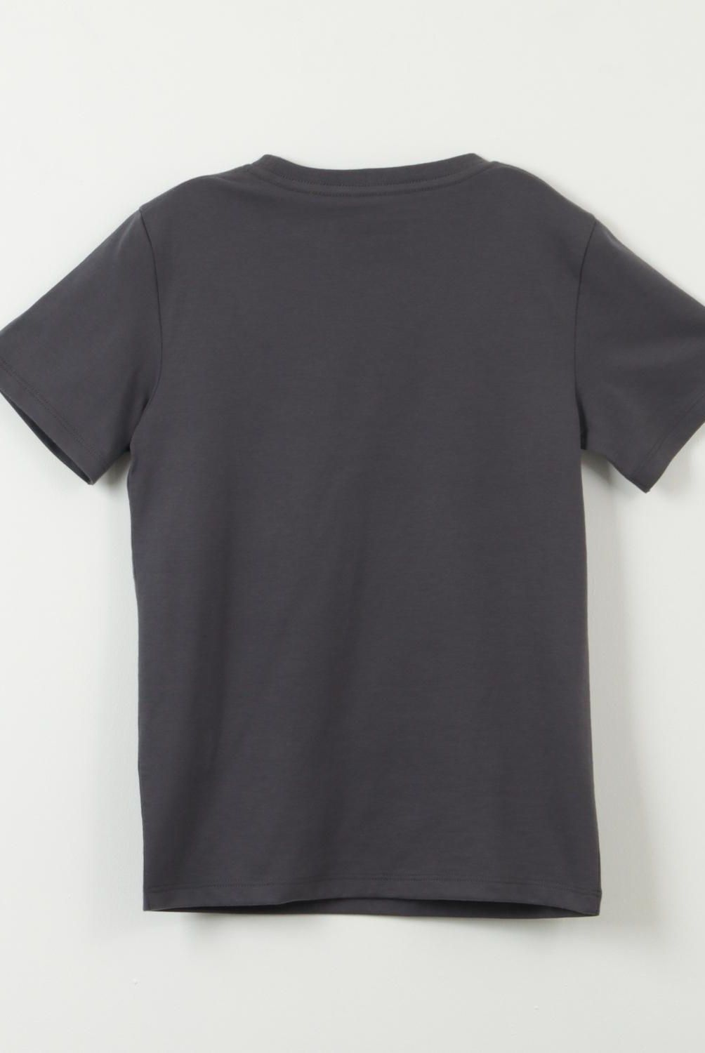 MINECRAFT - Polera Niño Algodón Espada Minecraft