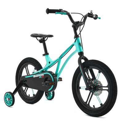 Imagen 2 del producto Bicicleta Infantil Mtb Pro Aro 16