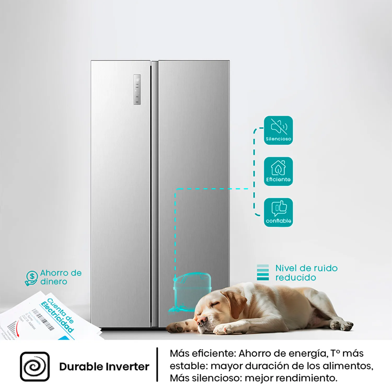 HISENSE Refrigerador Side By Side 531L No frost RS3P558NECF