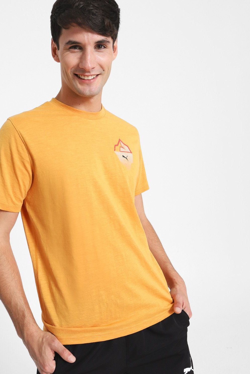 PUMA - Polera Training Hombre Puma