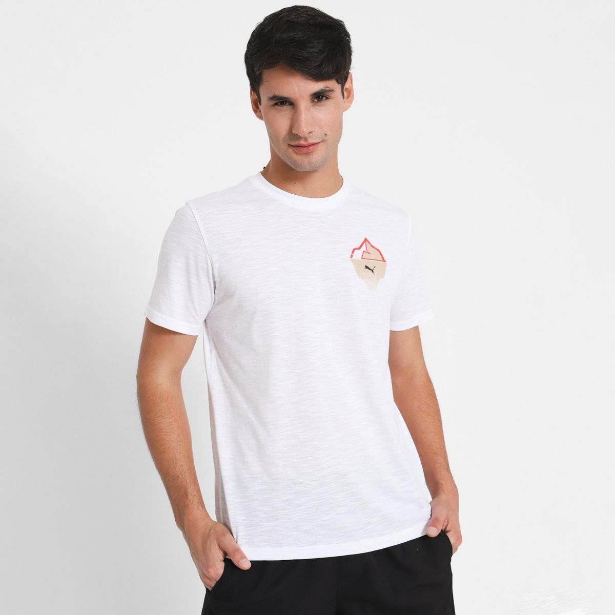 PUMA - Polera Training Hombre Puma