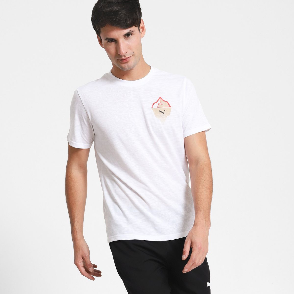 PUMA - Polera Training Hombre Puma