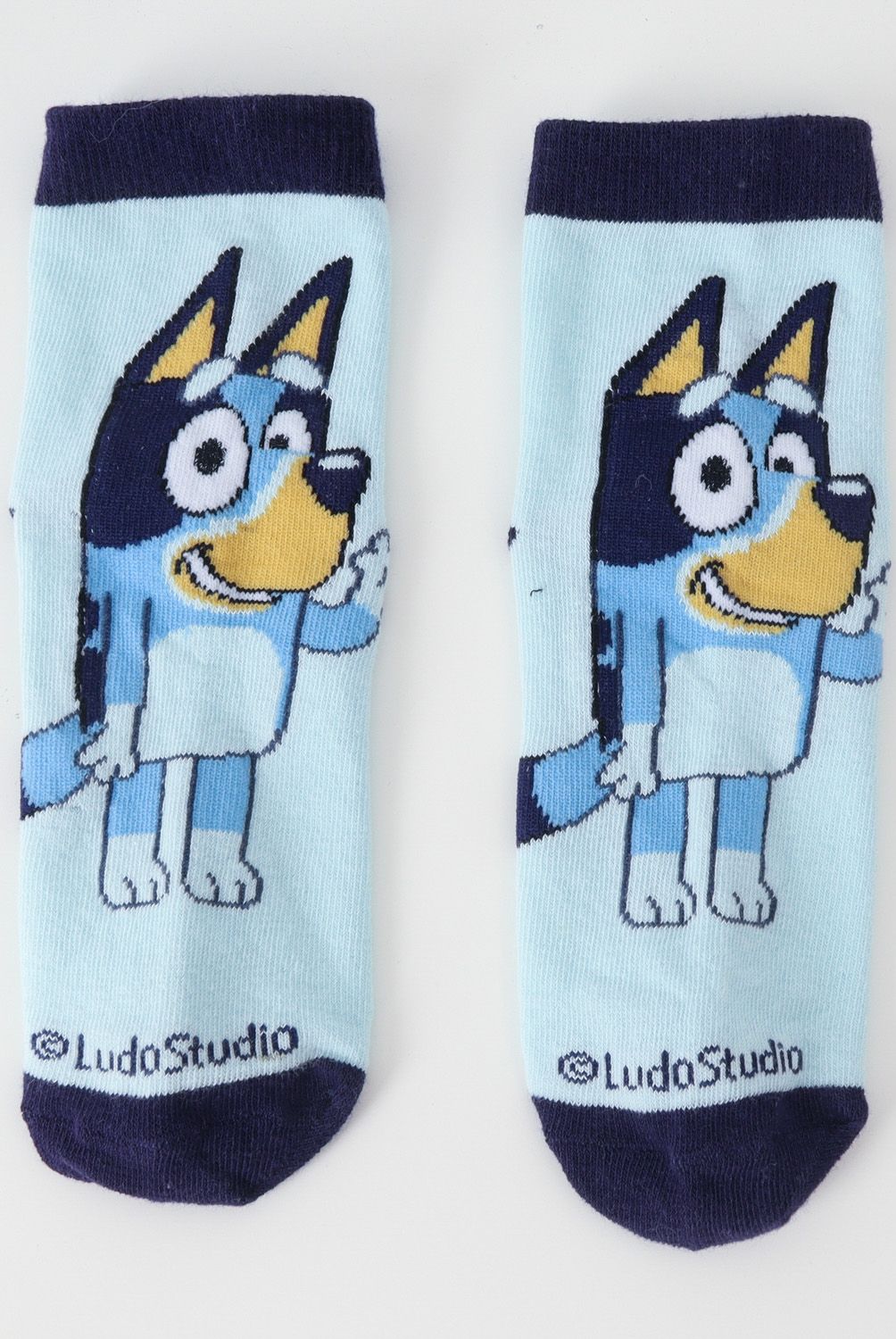 BLUEY - Pack 3 Calcetines Niño Bluey