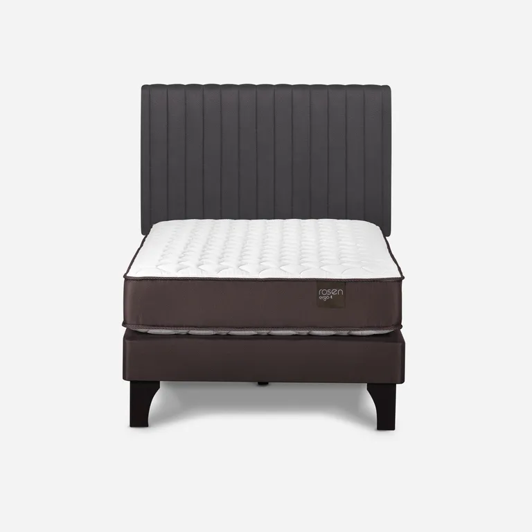 Cama Europea New Ergo T 1.5 Plazas x 2.00 mt + Respaldo