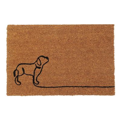 Imagen 2 del producto Limpiapiés Coco 40X60 Cm Pas