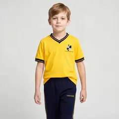 COLEGIO MAYOR - Polera Deporte Unisex Algodón
