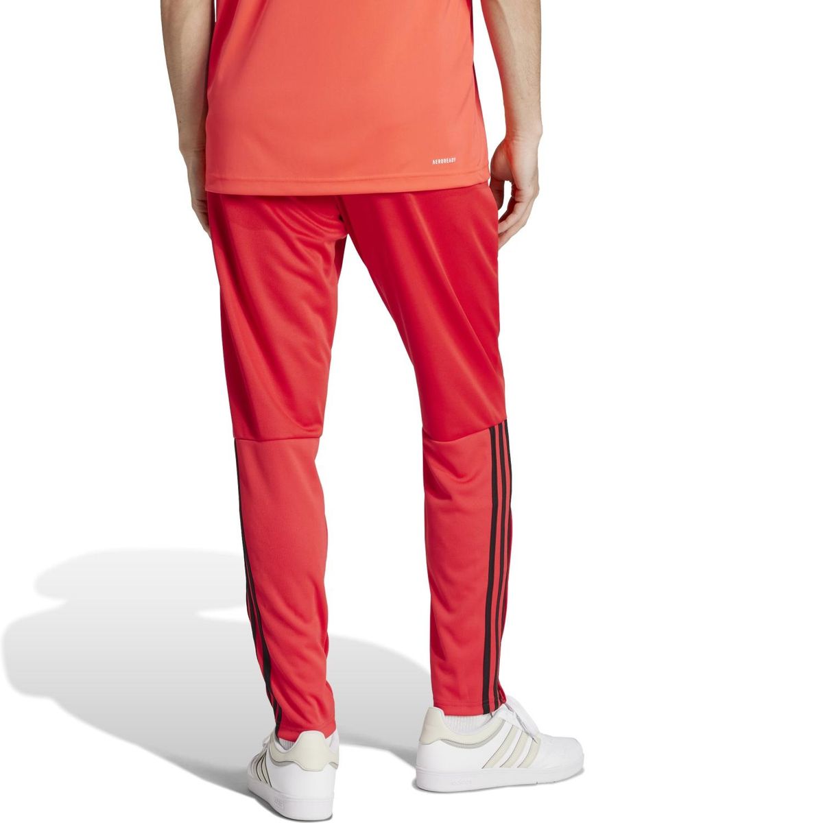 ADIDAS - Jogger Training Hombre Adidas