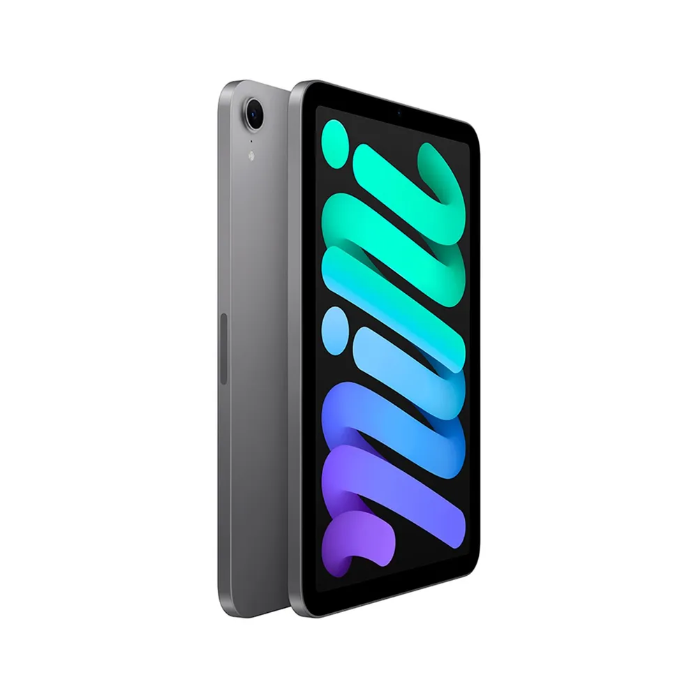 Apple iPad mini A17 Pro 8.3" 128GB Wi-Fi Gris Espacial, foto 3