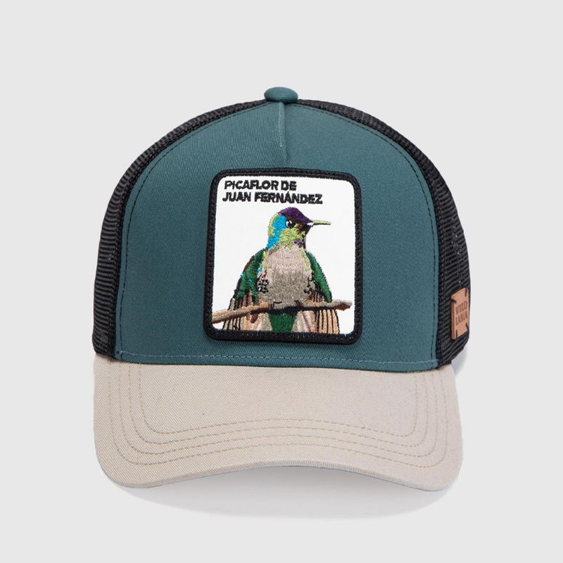 WILD LAMA - Jockey Hombre Wild Lama