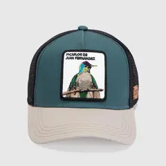 WILD LAMA - Jockey Hombre