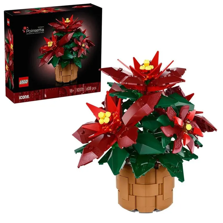Flor De Pascua