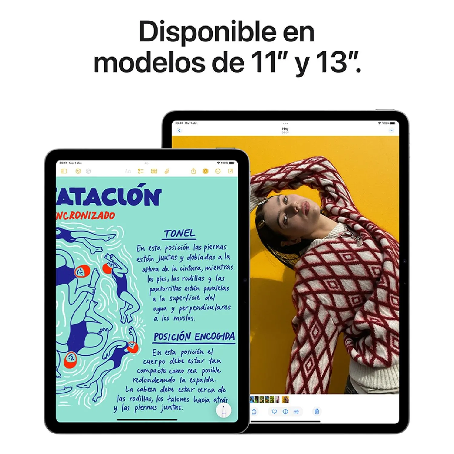 APPLE iPad Air 13