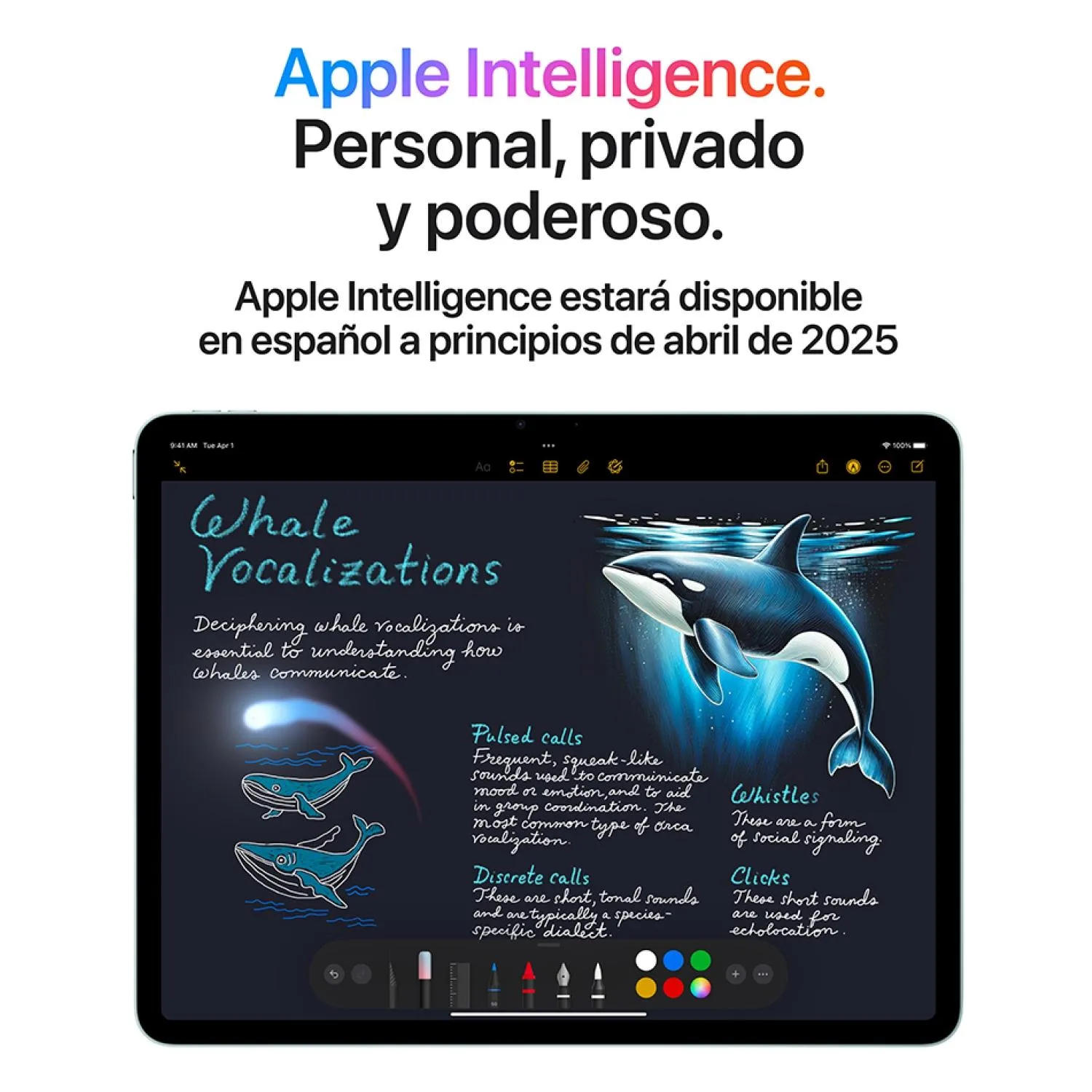 APPLE iPad Air 13