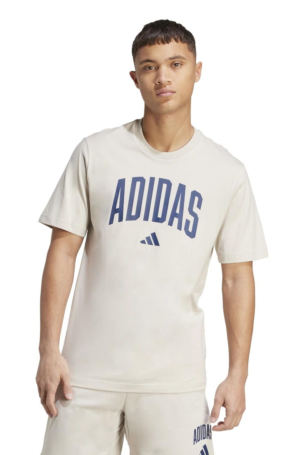 ADIDAS - Polera Collegiate T Jm6415   Hombre Adidas