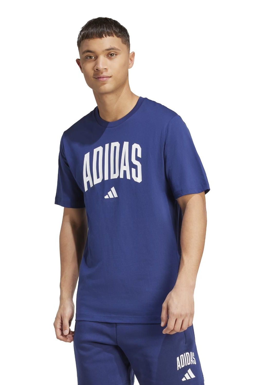 ADIDAS - Polera Collegiate T Jm6415   Hombre Adidas