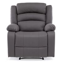 Berger Reclinable Praga Tela