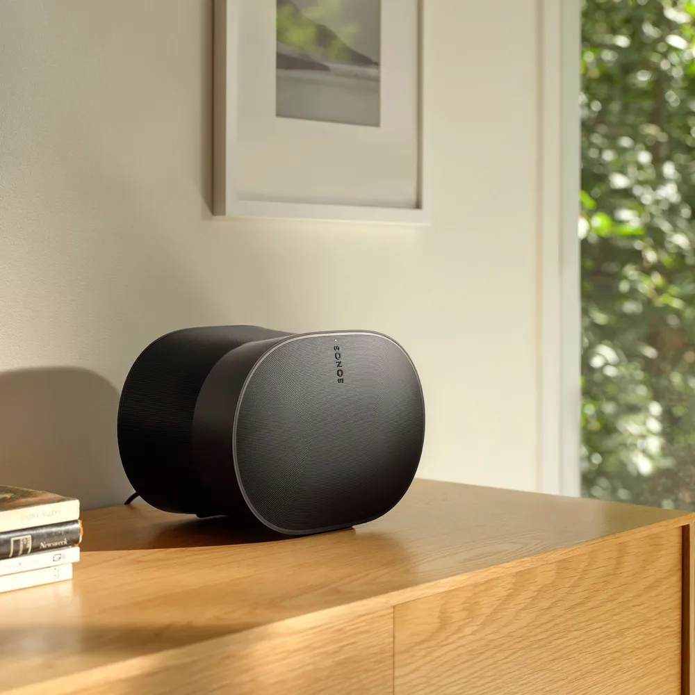 Sonos Era 300 Negro, foto 8