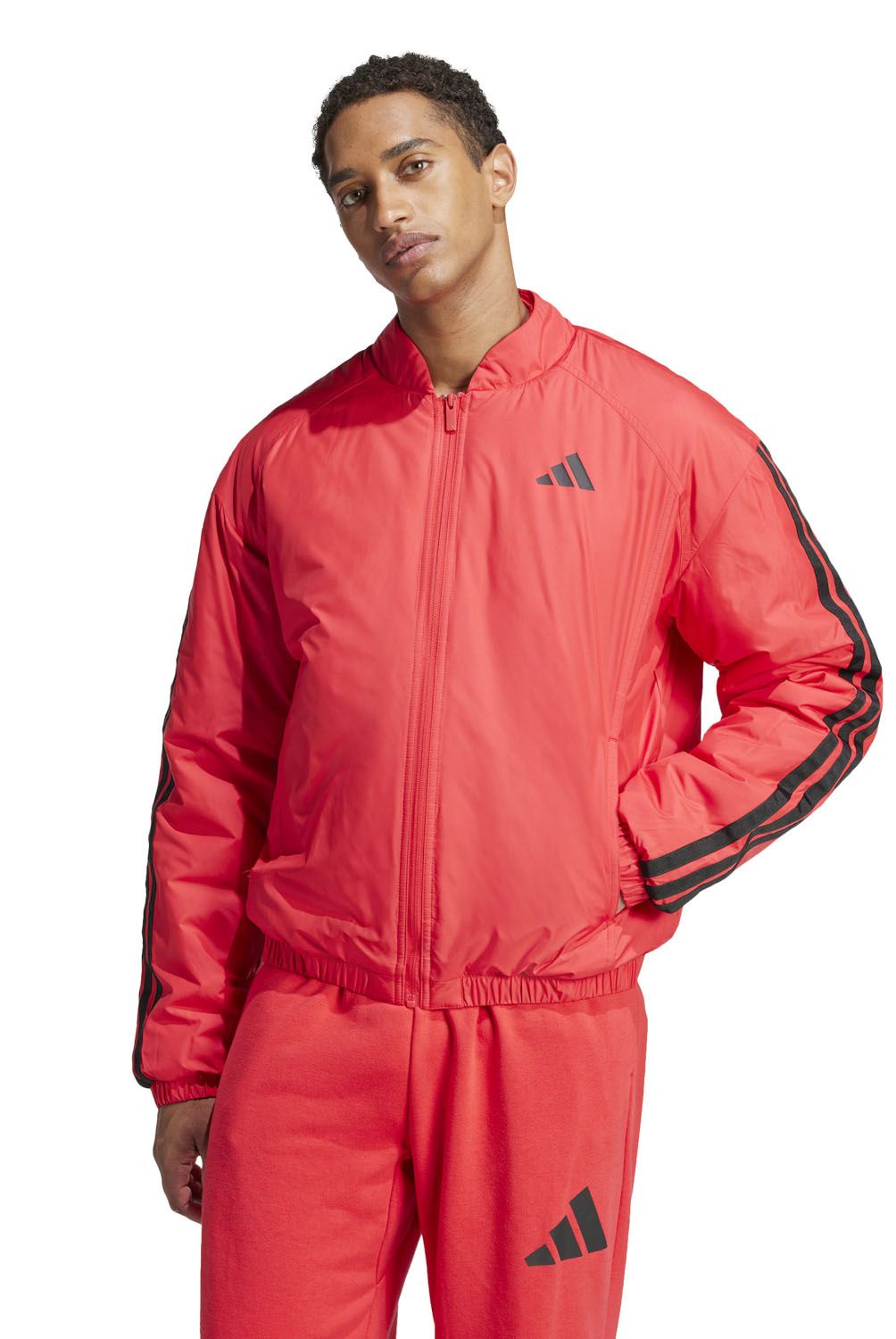 ADIDAS - Parka Deportiva Hombre Adidas