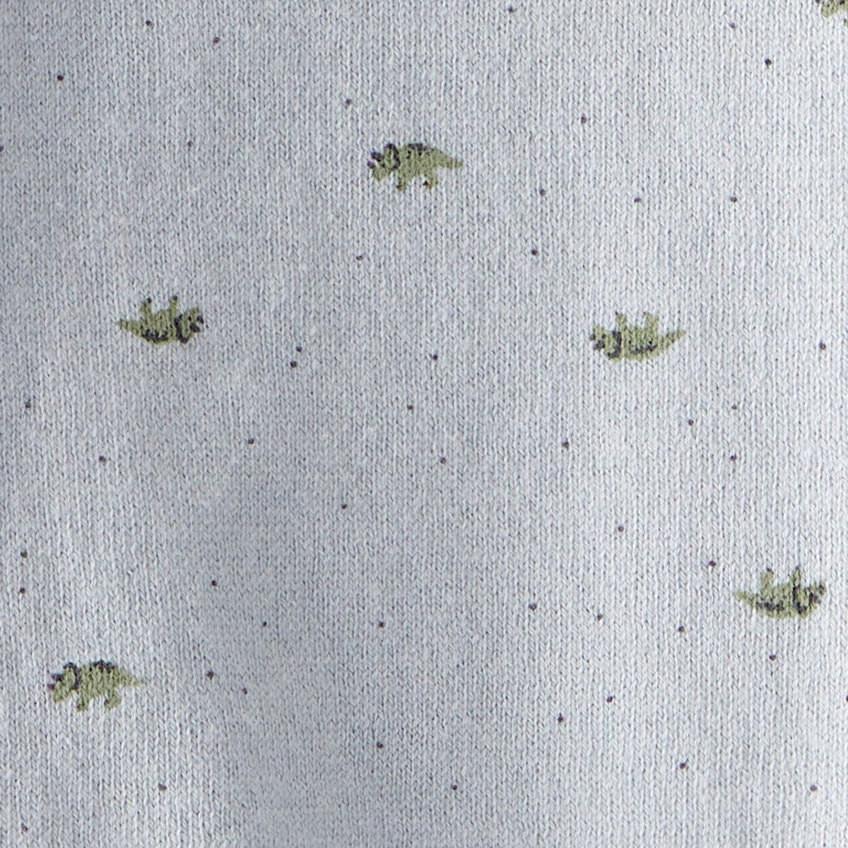 CARTER'S - Conjunto 2 Piezas Polerón y Pantalón Dinosaurios Bebé Niño Carter's