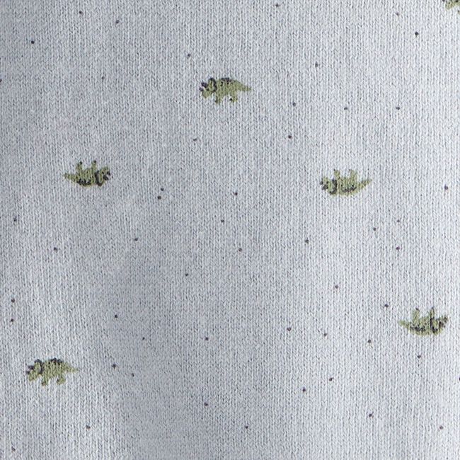 CARTER'S - Conjunto 2 Piezas Polerón y Pantalón Dinosaurios Bebé Niño Carter's